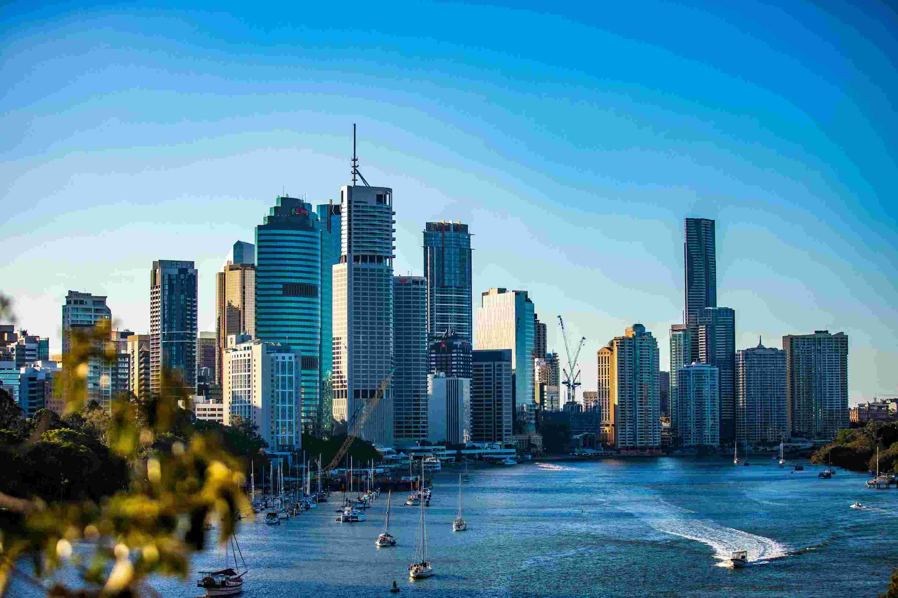The Ultimate Guide to Dog Parks in Brisbane