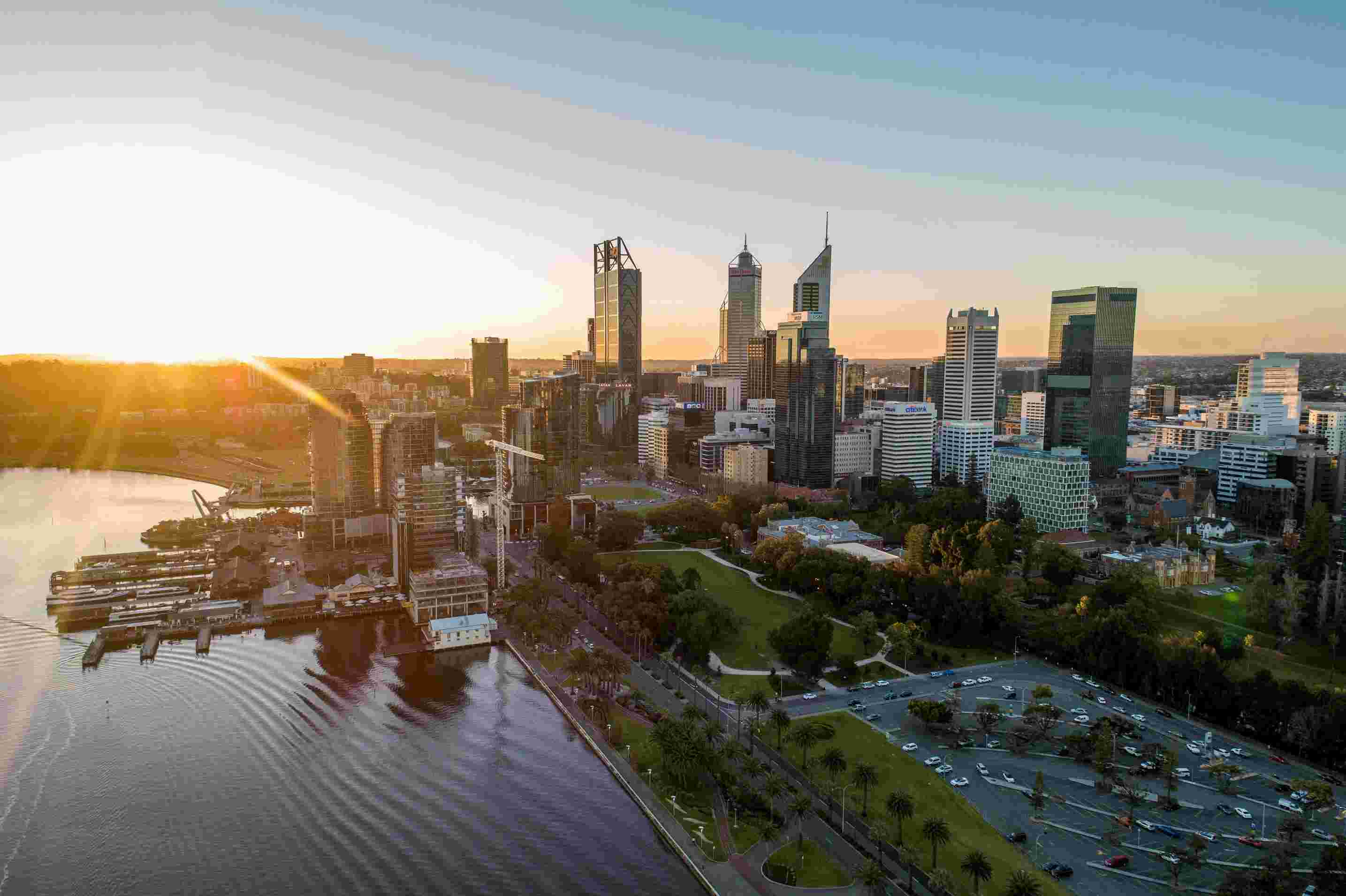 The Ultimate Guide to Dog Parks in Perth
