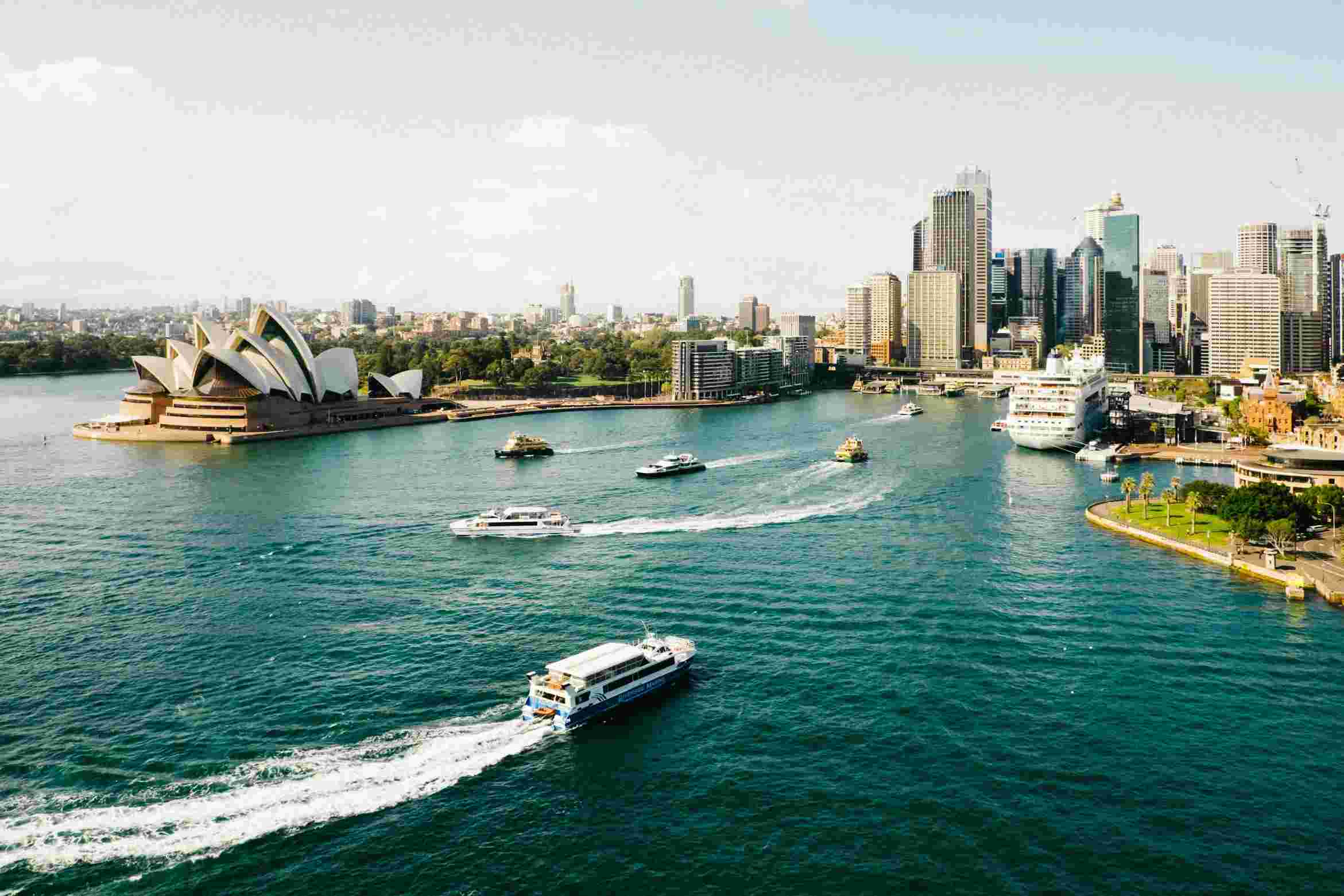 The Ultimate Guide to Dog Parks in Sydney
